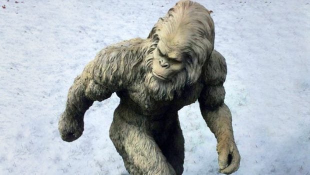 el-yeti-3 (1)