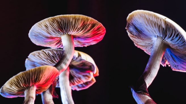Le crecen hongos en las venas después de inyectarse un té de hongos alucinógenos