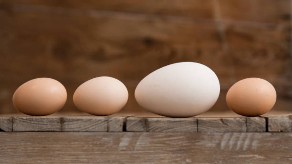 Las claves de porqué es importante cocinar siempre con los huevos de tamaño adecuado