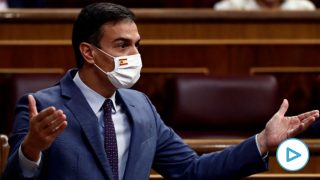 El presidente del Gobierno, Pedro Sánchez, este miércoles en el Congreso. (Foto: EFE)
