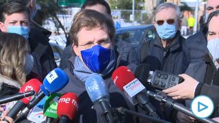 Alcalde