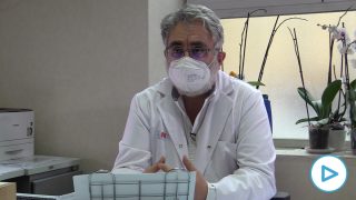 zendal
