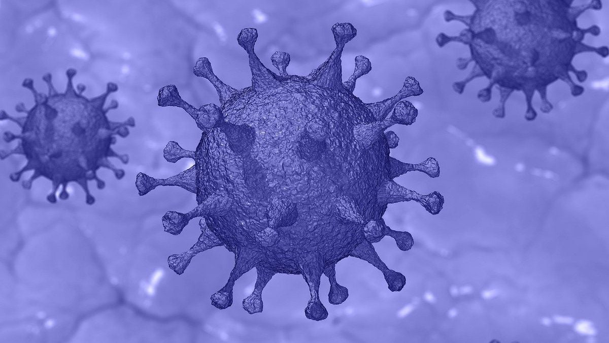 Coronavirus