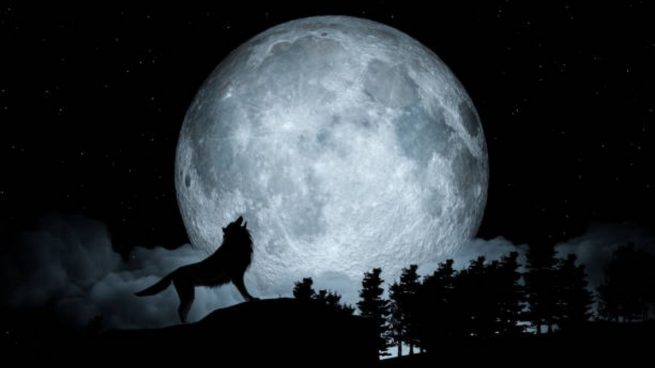 luna llena del lobo