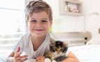 gatos niños