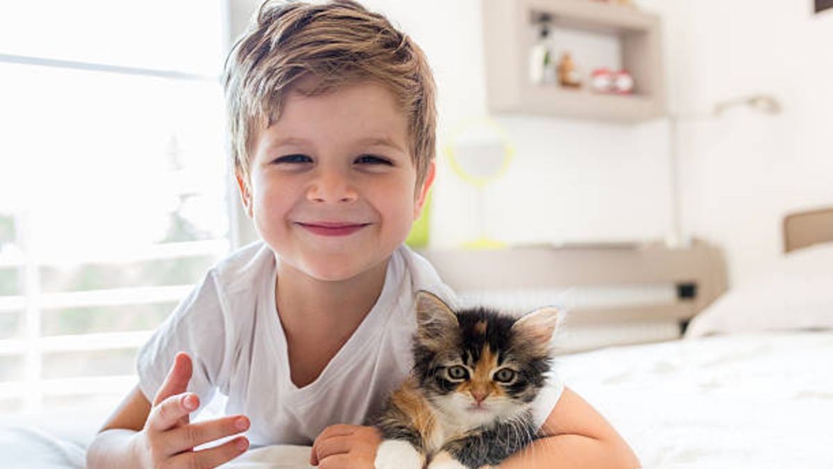 Alerta de los veterinarios: esto deben saber todas las personas que tienen gatos y niños bajo el mismo techo