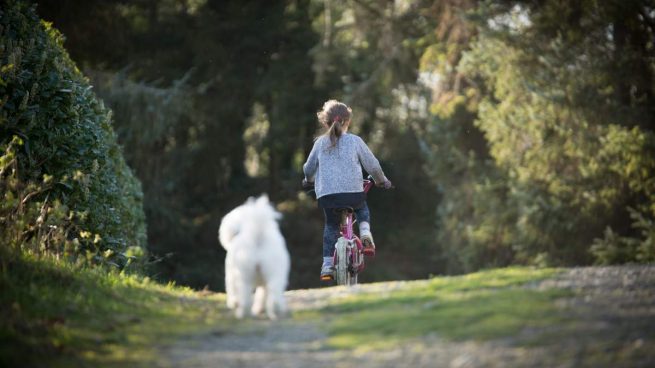 Ciclismo con perro