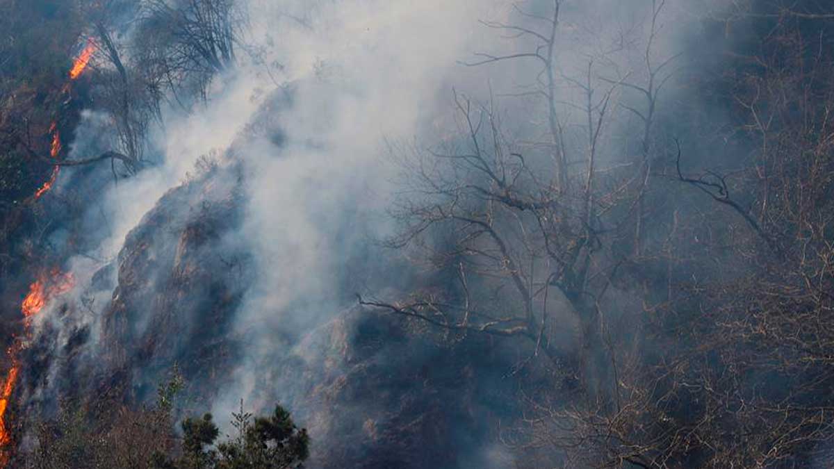 Vista de un foco del incendio forestal que afecta al norte de Navarra y Guipúzcoa este domingo en Endarlatsa (Guipúzcoa), que actualmente se encuentra «estabilizado» en la parte guipuzcoana. Foto: EFE