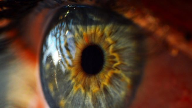 Así funciona la microcirugía para ‘ceguera silenciosa’ que causa el glaucoma