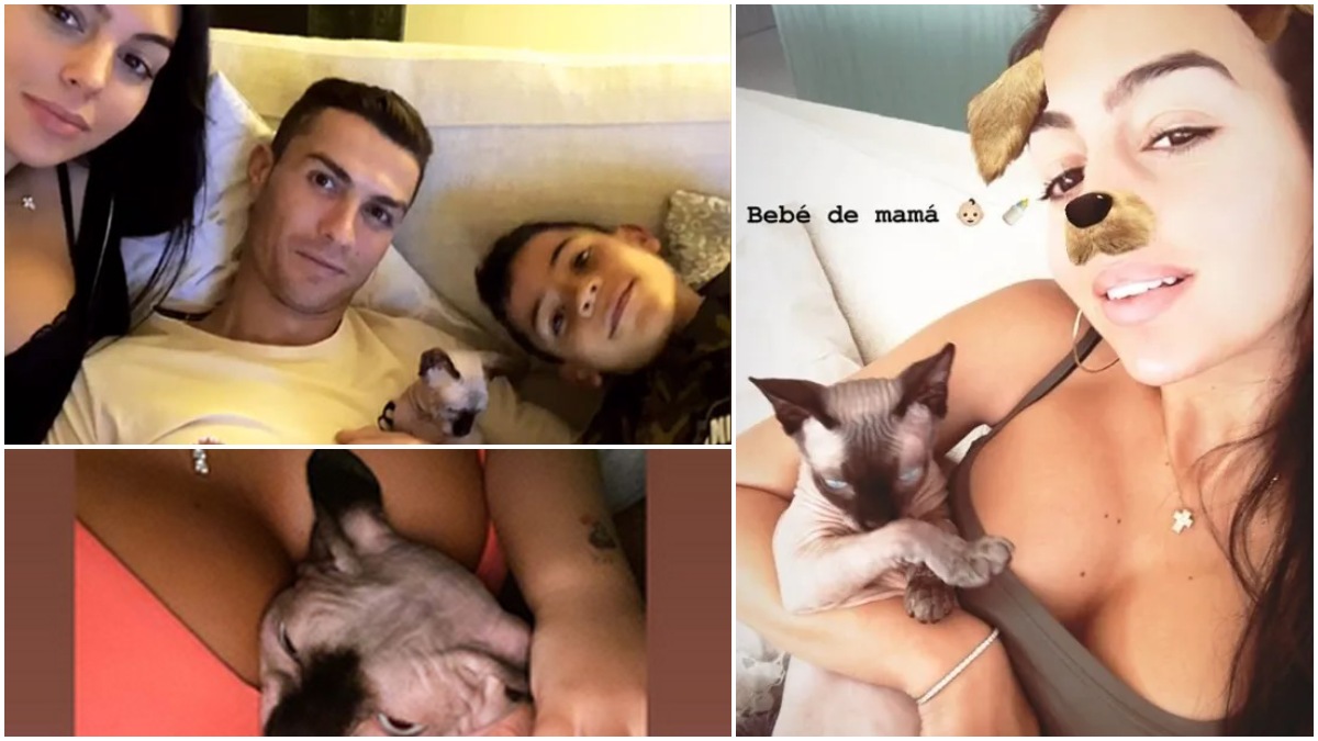 Cristiano Ronaldo, Georgina Rodríguez y su gato