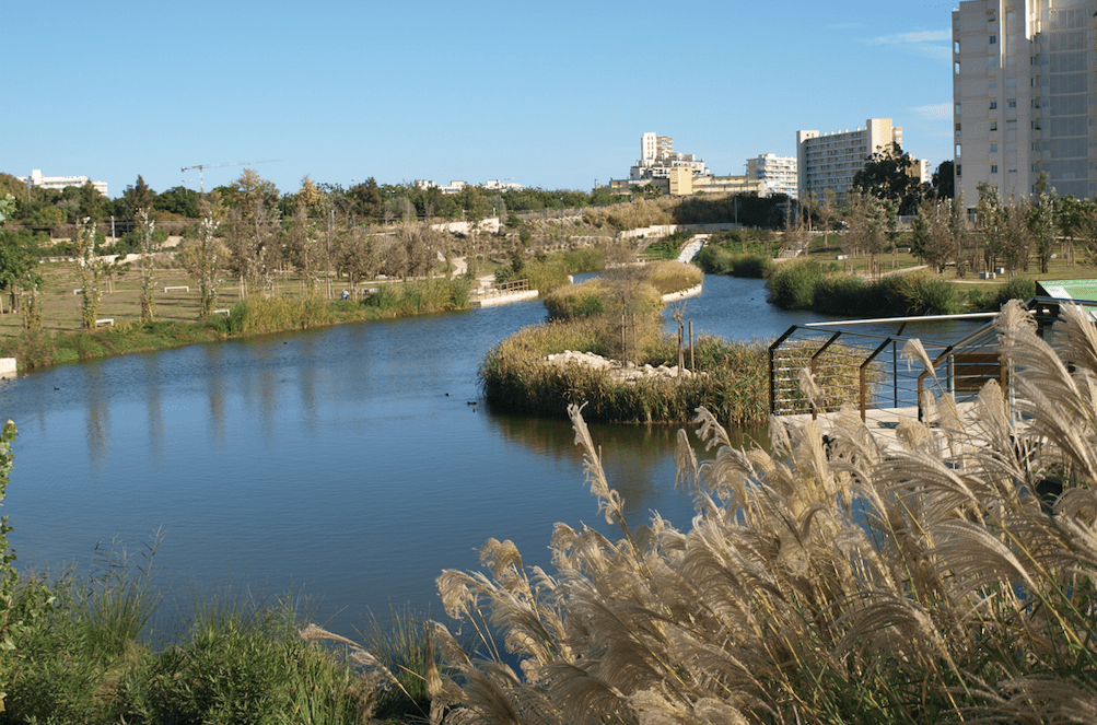 El parque urbano de La Marjal en Alicante