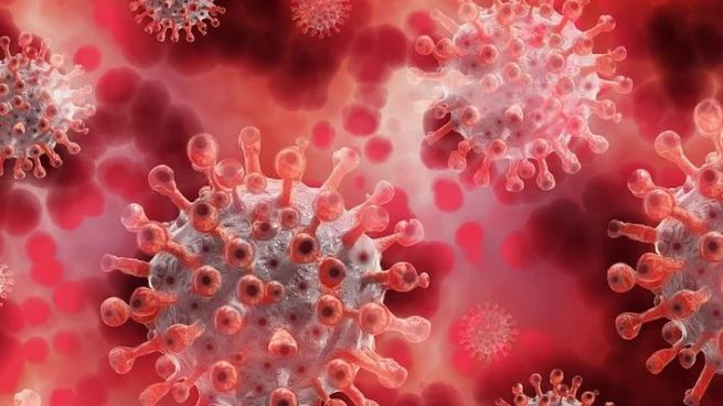 ¿Puedes infectarte con dos cepas de coronavirus a la vez?