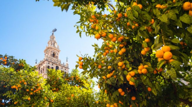 Qué tiempo hará en Sevilla en Semana Santa 2021