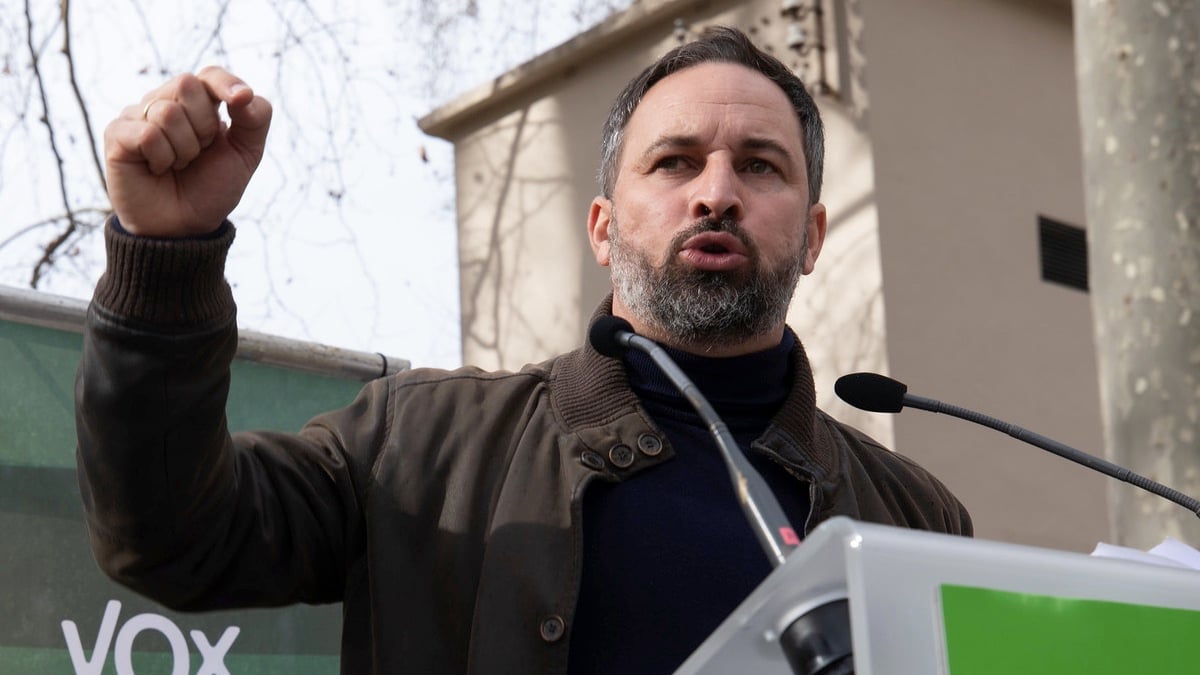 Santiago Abascal. (Foto: Vox)