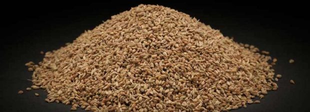 Semillas de ajwain