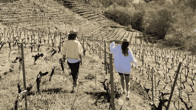 Trekking por los bancales de la Ribeira Sacra, nueva propuesta de ocio activo de Ponte da Boga