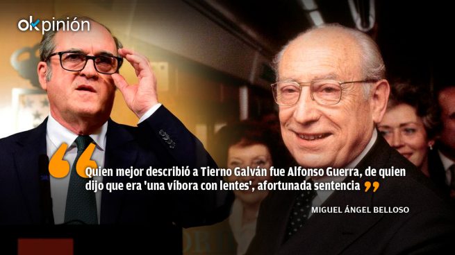 ¿Es Gabilondo como Tierno Galván una víbora con lentes?