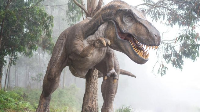 Dinosaurios carnívoros: nombres, tipos y características
