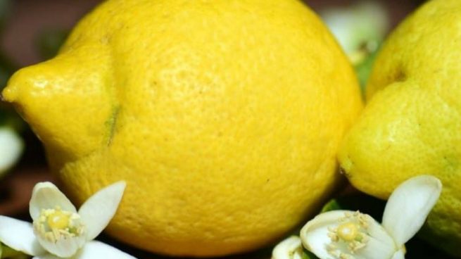 Anota y benefíciate de las virtudes del limón