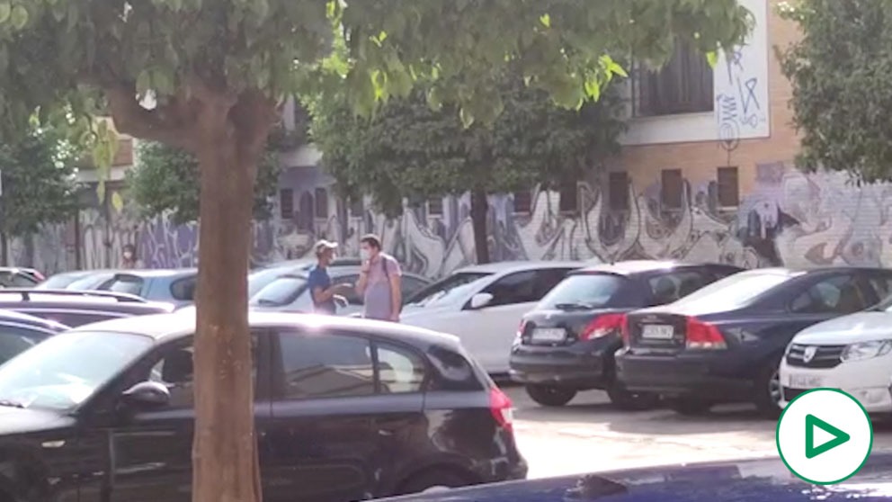 Gorrillas en el barrio sevillano de La Macarena.