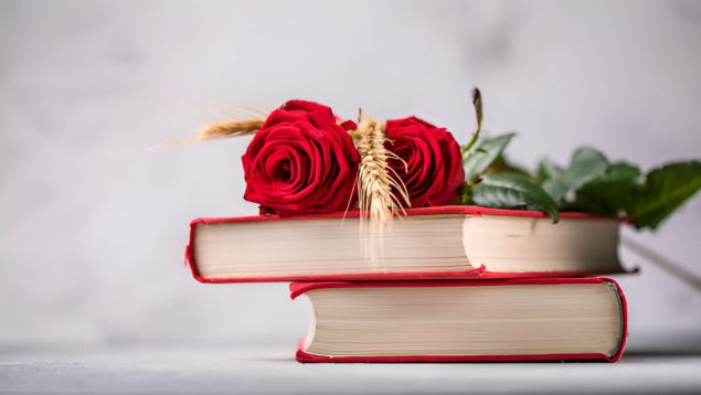 mejores libros Sant Jordi