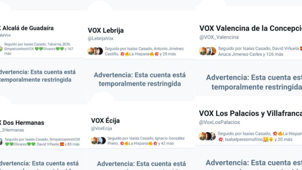 Vox Sevilla denuncia censura de Twitter tras restricciones masivas a sus cuentas en la red social.