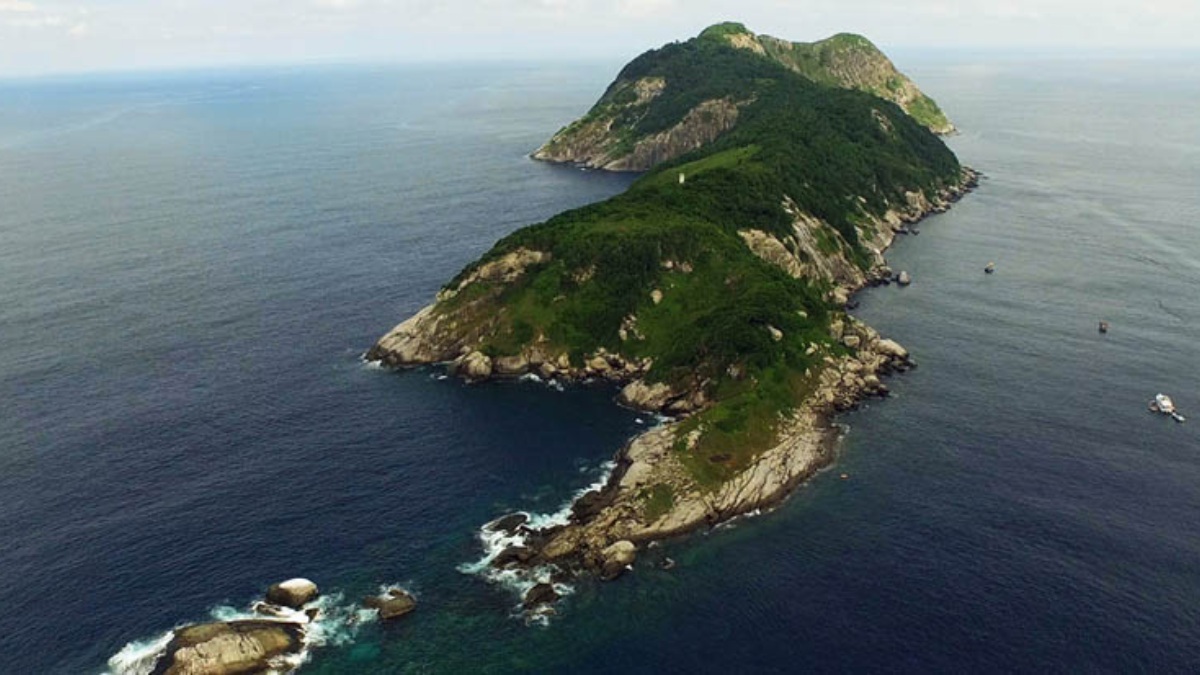 ‘Isla de las cobras’ en Brasil