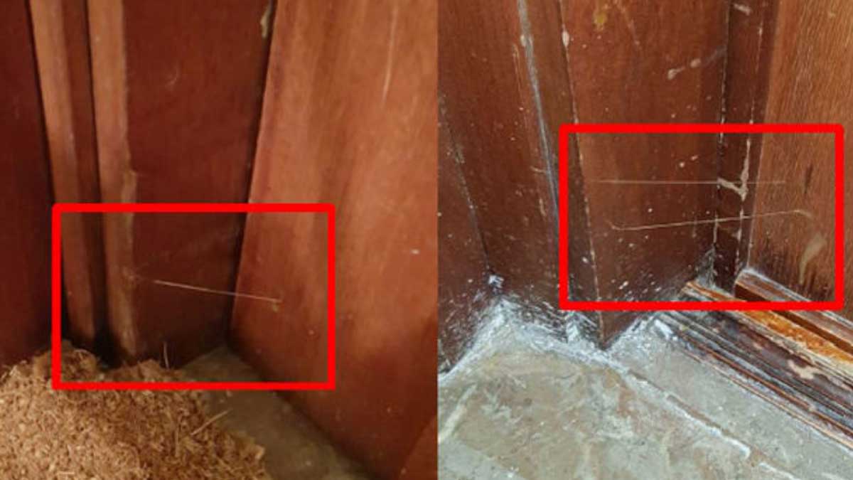 Dos fotografías difundidas por la Policía para ilustrar la nueva técnica empleada por ladrones para marcar casas vacías: el hilo de pegamento.