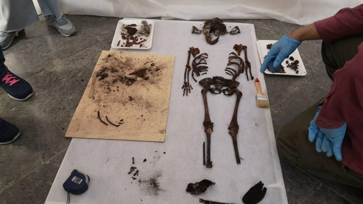 El esqueleto de una niña encontrada en el Alcázar de Sevilla. (Foto: Ayuntamiento de Sevilla)