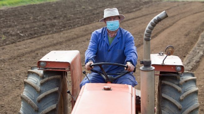 Empresas líderes del sector agroalimentario optan a los fondos europeos con un proyecto de 100 millones