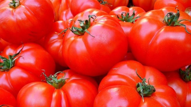 ¿Los perros pueden comer tomate? ¿Es peligroso para ellos?