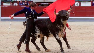 el-juli-festival-taurino-las-ventas-Madrid