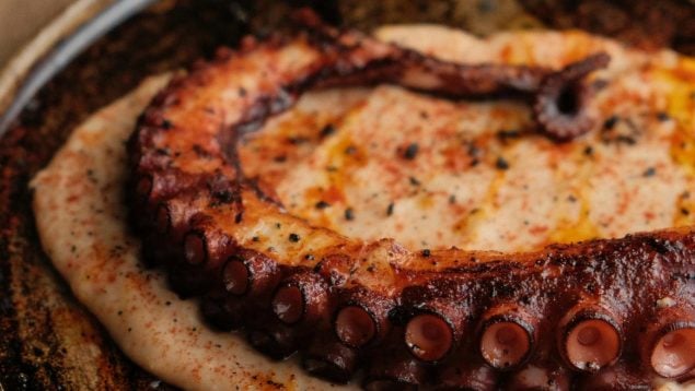 Pulpo