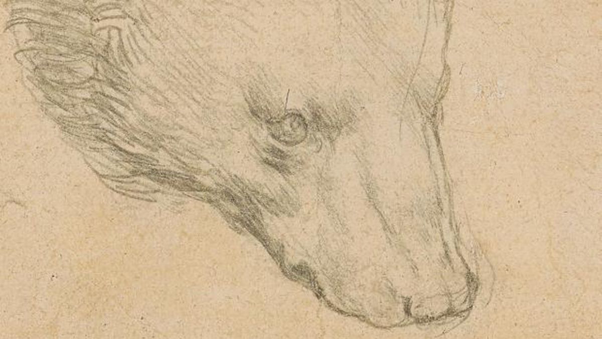 Sale a subasta el dibujo «Cabeza de Oso», Leonardo Di Caprio