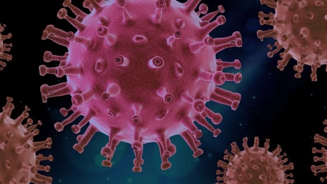 ¿Qué es el hongo negro? Una infección letal que afecta a pacientes con coronavirus