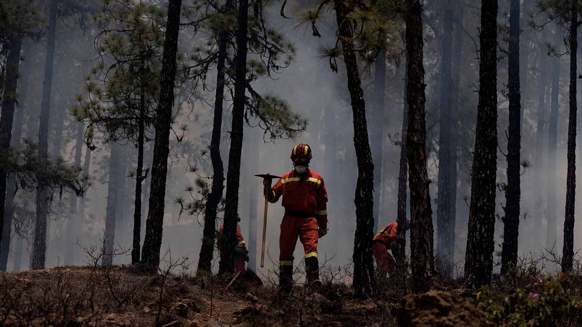 La UME participa en la extinción del incendio que afecta al municipio tinerfeño de Arico