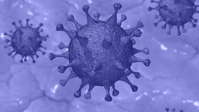 Científicos predicen que el coronavirus será un virus estacional