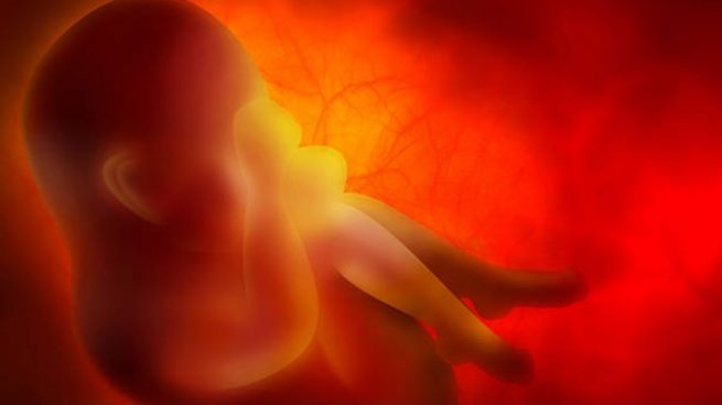 Hipo del feto: Qué es, causas y cómo detenerlo