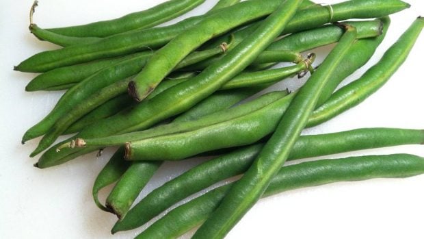 Jud&iacute;as verdes