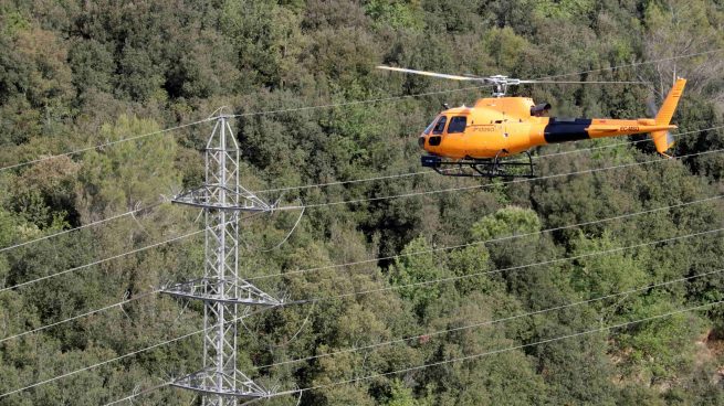 Endesa crea una App para reportar incidencias bajos las líneas eléctricas y proteger los bosques