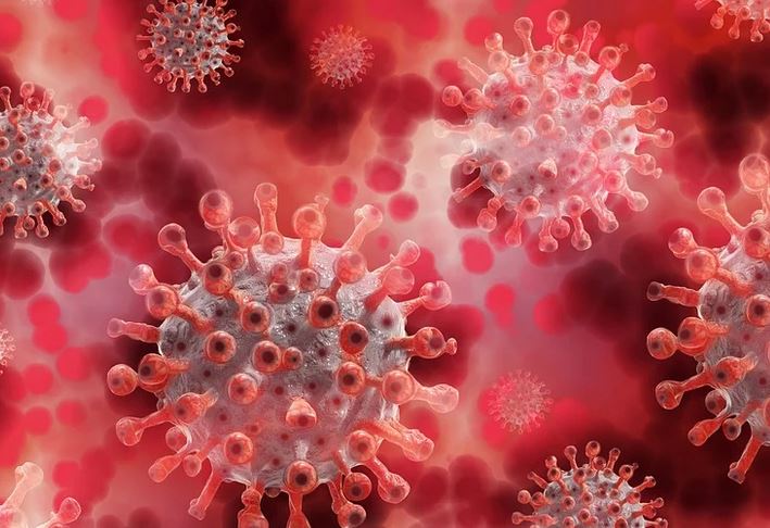 Identifican el gen que protege contra el coronavirus