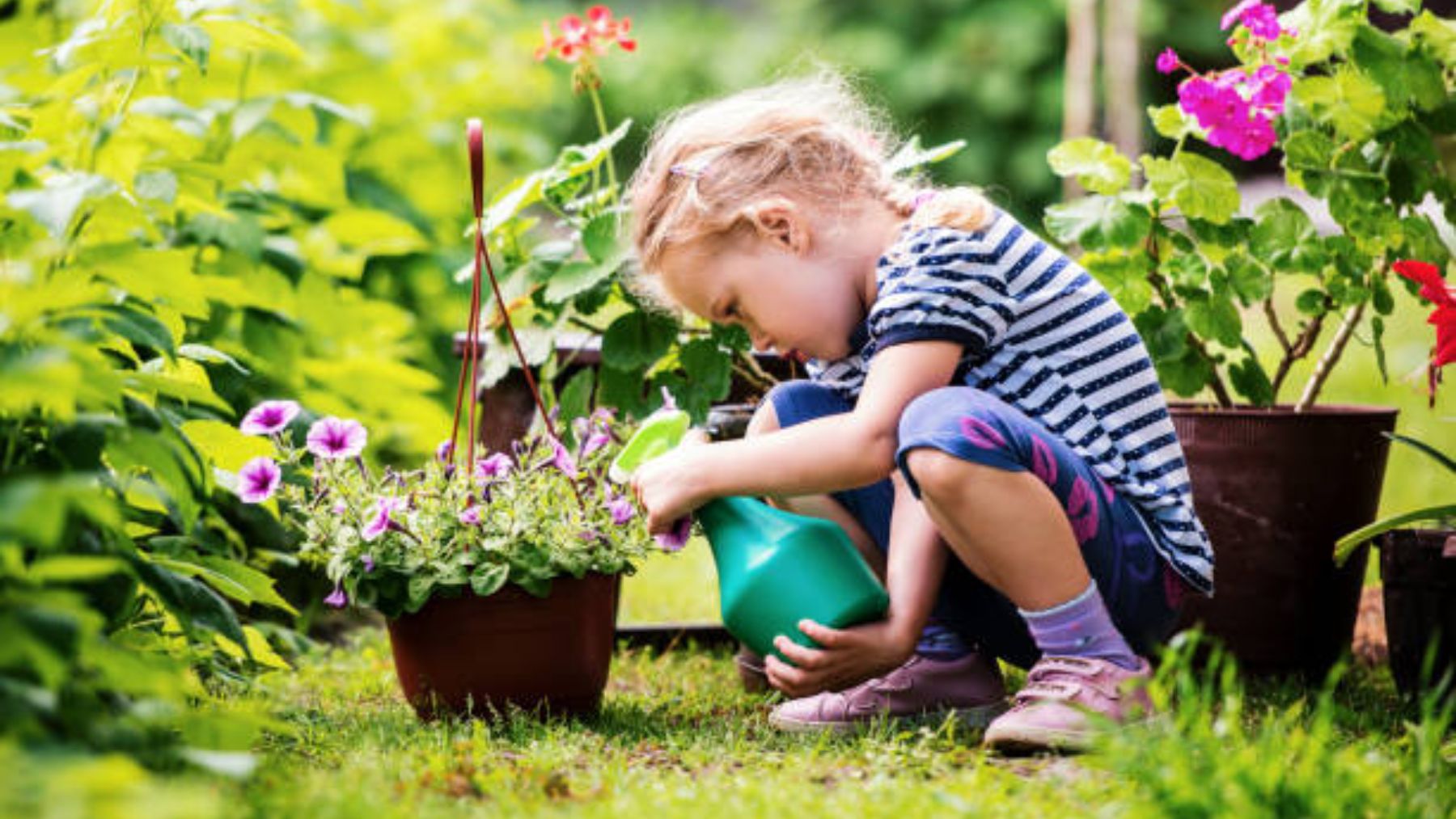 Tips para que los niños disfruten del jardín