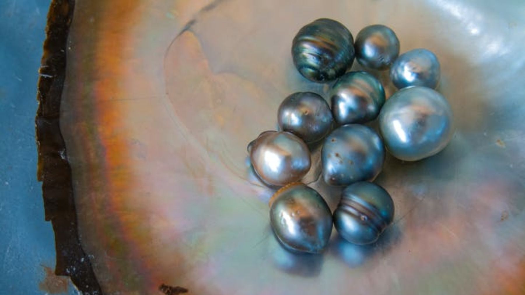 Descubre cómo se forman las perlas naturales