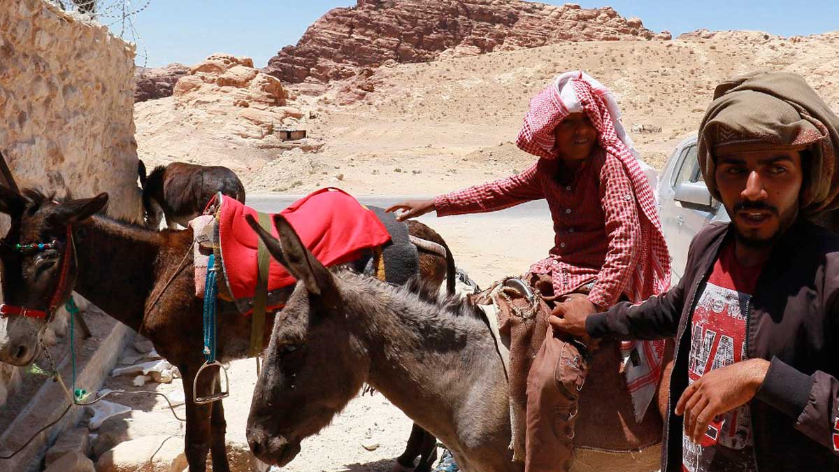 Un propietario de una manada de burros que se usan como transporte en Jordania para los turistas que visitan, entre otros lugares, la ciudad de Petra. Foto: AFP