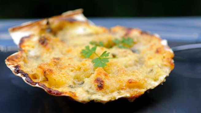Concha vegetariana