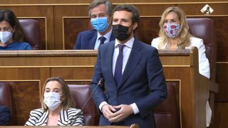 Pablo Casado indultos