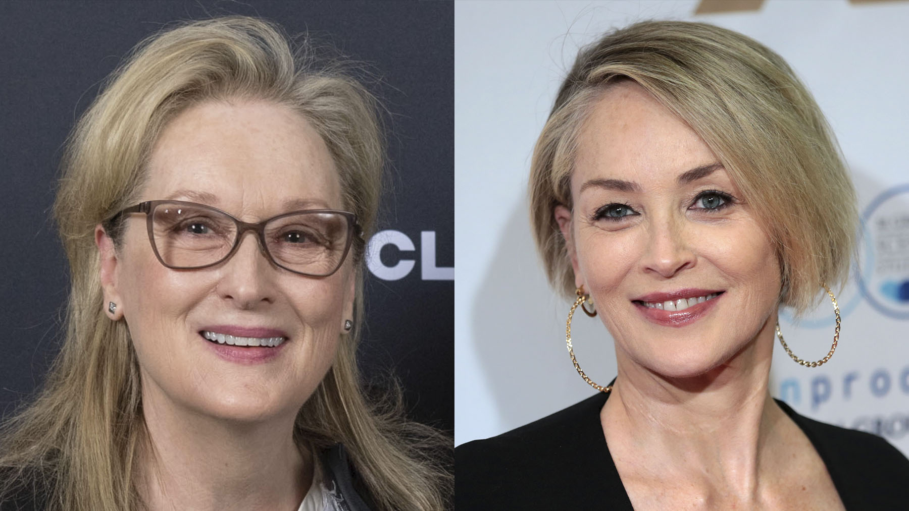 Meryl Streep y Sharon Stone