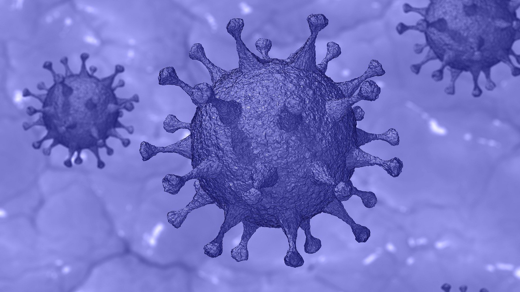 Coronavirus