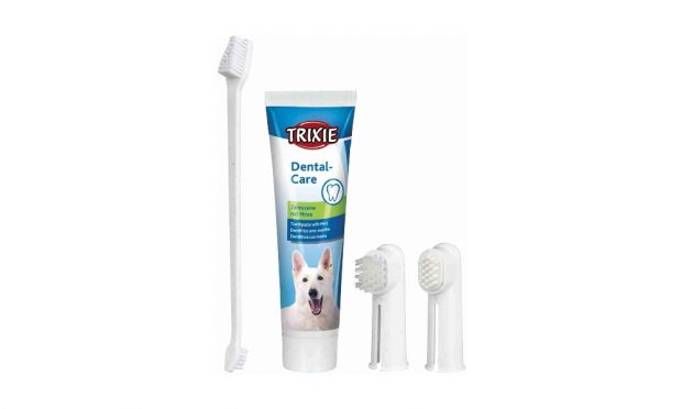 Set de higiene dental ideal para tu mascota