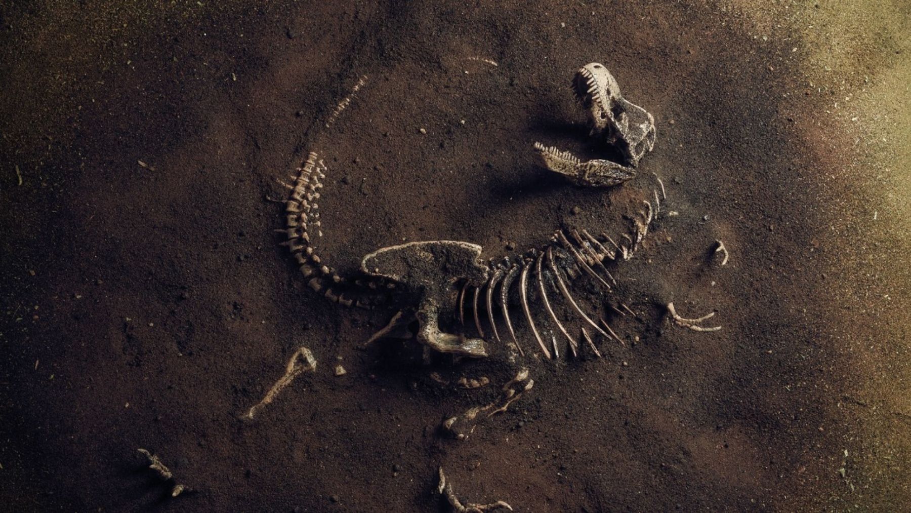 La historia del origen de los dinosaurios: los datos más curiosos